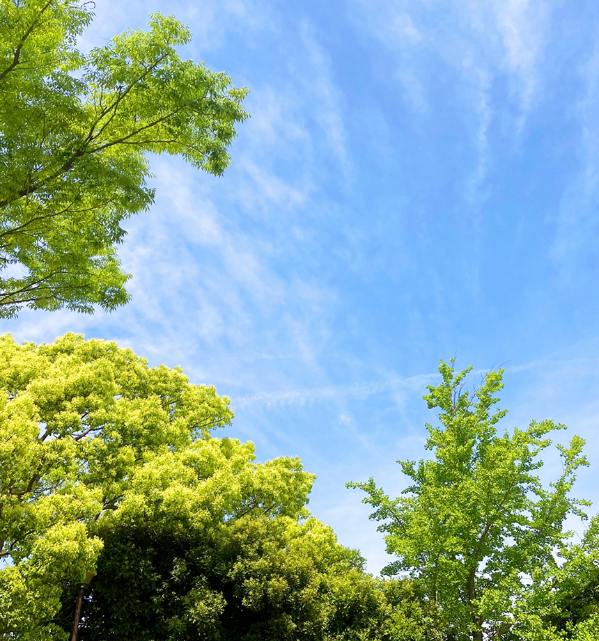 お任せください。
私達に
お悩みならば、
〇〇〇〇に